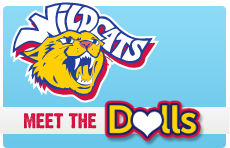 Meet the Dolls